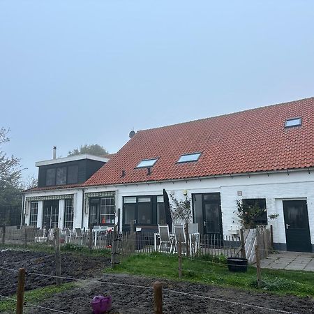 Het Tinkerparadijs, Paarden, Rust En Ruimte. Burgh-Haamstede Buitenkant foto