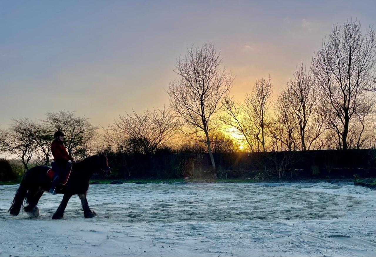 Het Tinkerparadijs, Paarden, Rust En Ruimte. Burgh-Haamstede Buitenkant foto