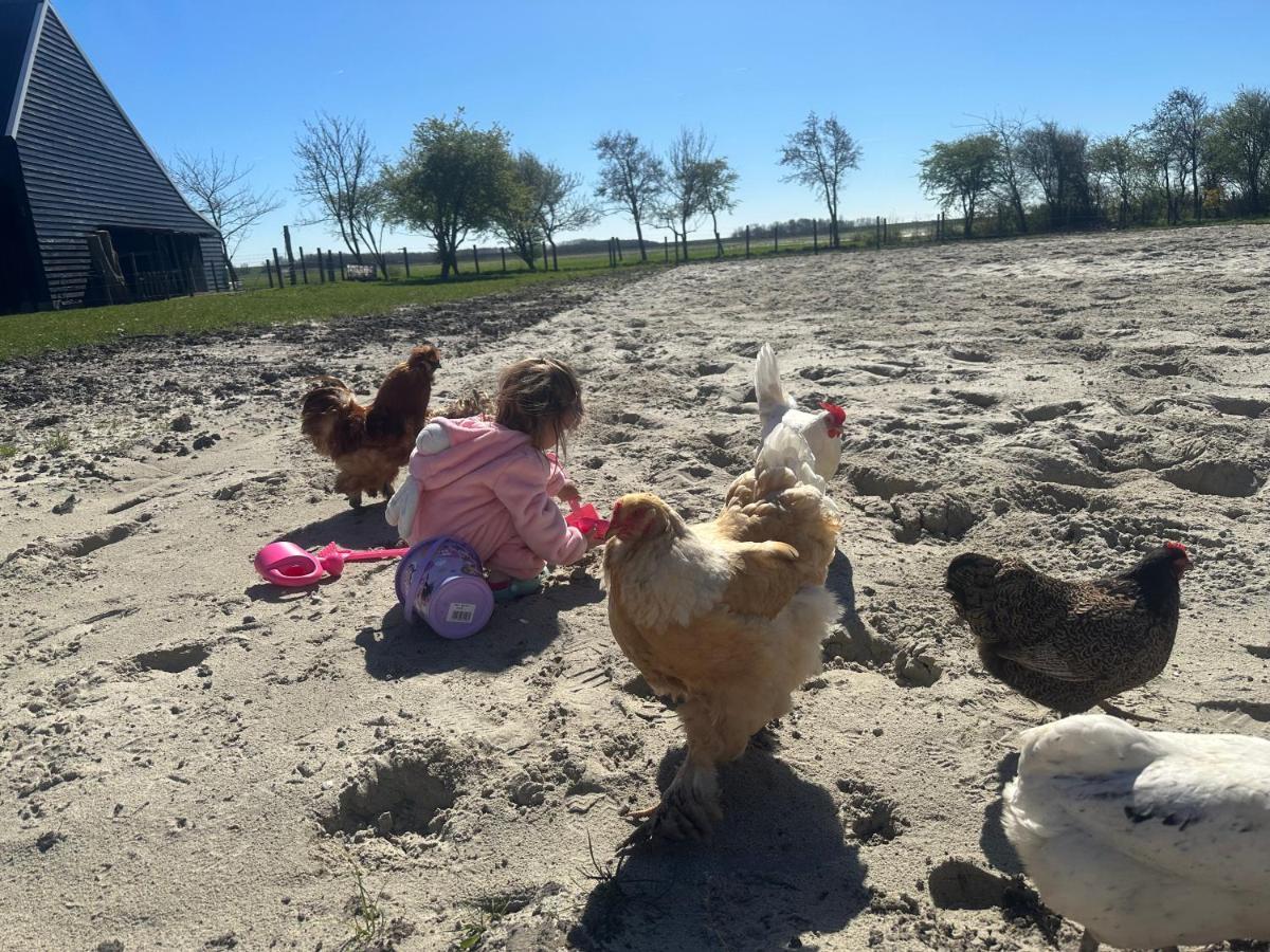 Het Tinkerparadijs, Paarden, Rust En Ruimte. Burgh-Haamstede Buitenkant foto