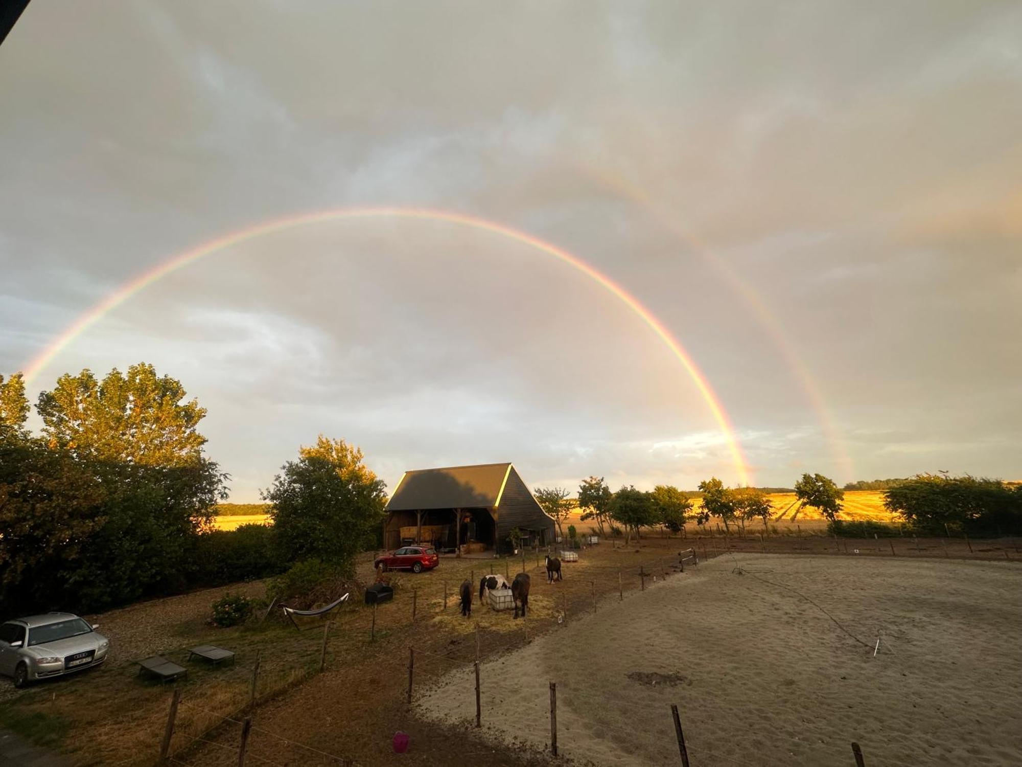 Het Tinkerparadijs, Paarden, Rust En Ruimte. Burgh-Haamstede Buitenkant foto