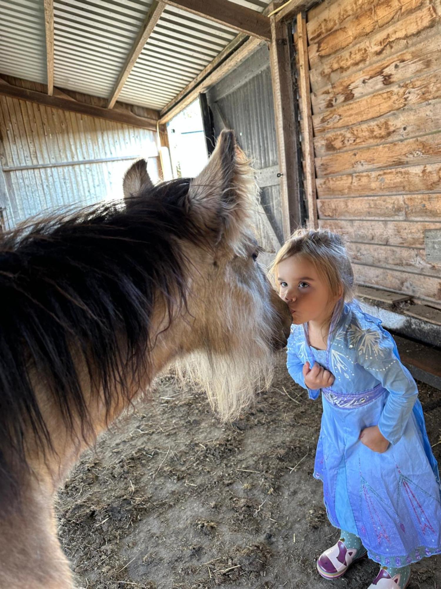 Het Tinkerparadijs, Paarden, Rust En Ruimte. Burgh-Haamstede Buitenkant foto